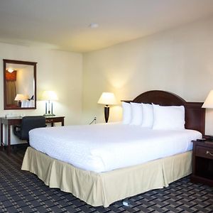 King Room Disability Access