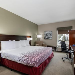 King Room Disability Access