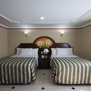 Executive King Room