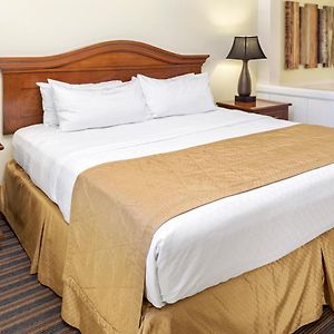One-Bedroom King Suite Sofa Bed