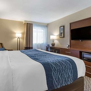 King Room Disability Access