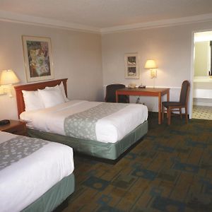 Double Room Two Double Beds Smoking