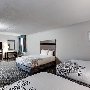 Queen Suite