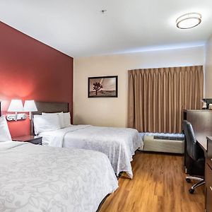Deluxe Room Two Double Beds Smoke