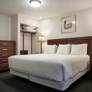 Executive King Suite