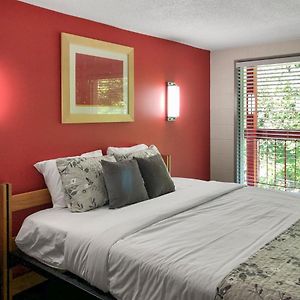 King Room Disability Access