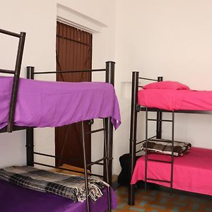 Classic Quadruple Room