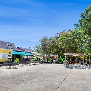 Deluxe King Studio
