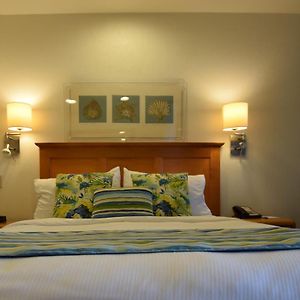 One-Bedroom King Suite