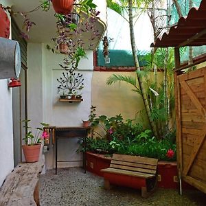 My Local Home Vallarta