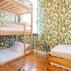 Dormitory Room Mixed