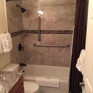 Deluxe One-Bedroom Apartment