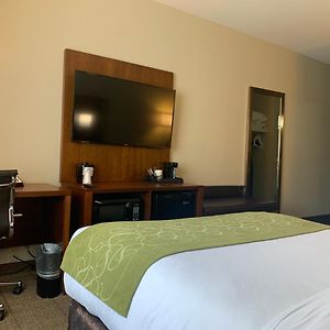 Queen Suite Mobility accessible