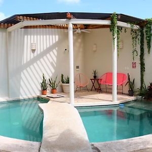 Bed And Breakfast Pecari