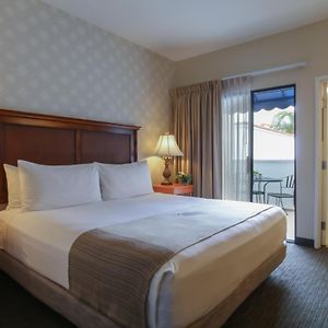 Top Floor King Suite