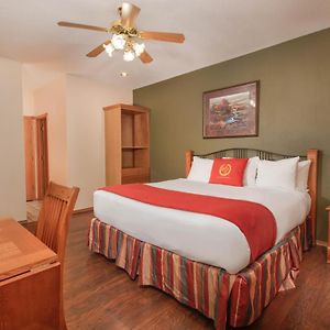 Studio Villa
