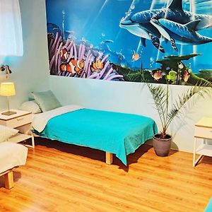 Dormitory Room Mixed