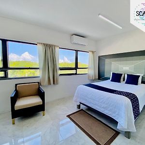 Standard King Suite