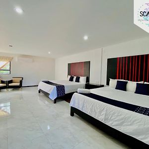 Deluxe King Suite