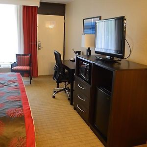 King Room Disability Access