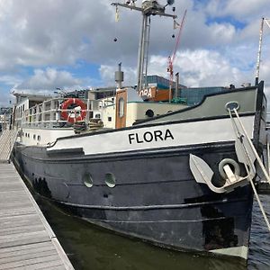 Mps Flora