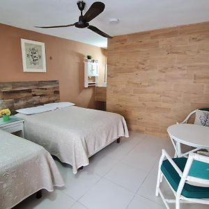 Standard King Studio