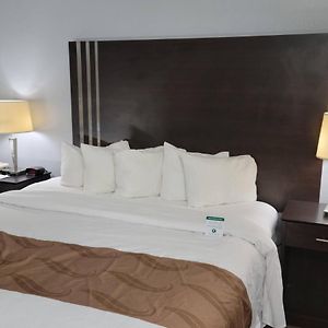 King Room Mobility accessible