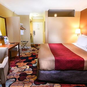King Room Disability Access