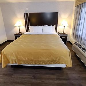 Deluxe Suite 1 King Bed Sofa Bed Non Smoking
