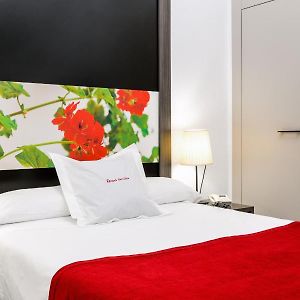Budget Single Room