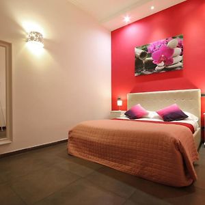Superior King Suite
