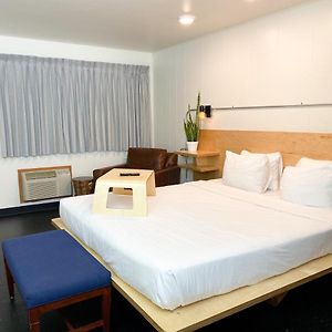 Standard Room King Bed Non-Pet Friendly