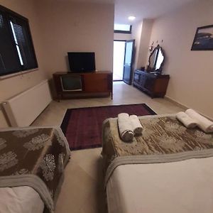 Family Basement Twin Room