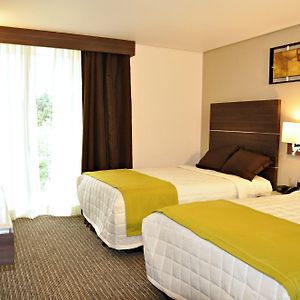 Standard Suite