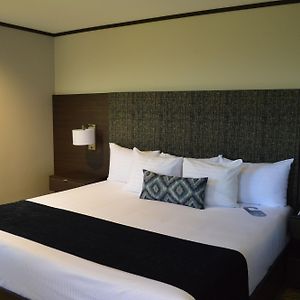 Executive King Room
