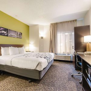 King Room Mobility accessible