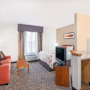 One-Bedroom Queen Suite Non-Smoking