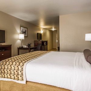 Mini Suite
