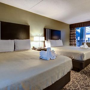 Tradition Queen Room
