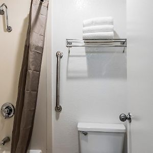King Room Disability Access