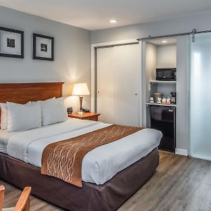 The Inn At 1252 Monterey