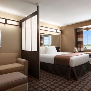 1 Queen Bed Mobility or Accessible Room Roll Shower Non-Smoking