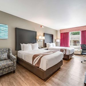 Standard Double Room Two Double Beds Non-Smoking