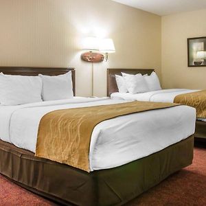 Queen Room Two Queen Beds