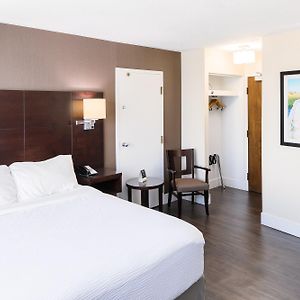 One-Bedroom King Suite