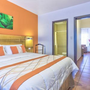 Duplex Apartment