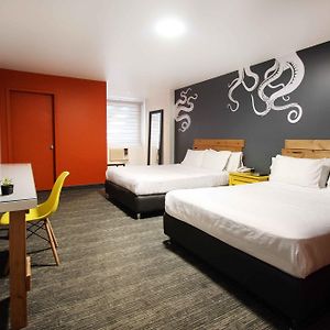 Executive Triple Room