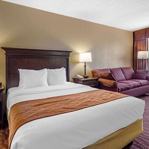 Queen Suite Three Queen Beds Non-Smoking