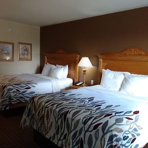 Queen Room Two Queen Beds