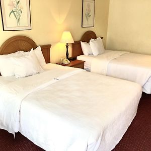 Budget Queen Room Two Queen Beds
